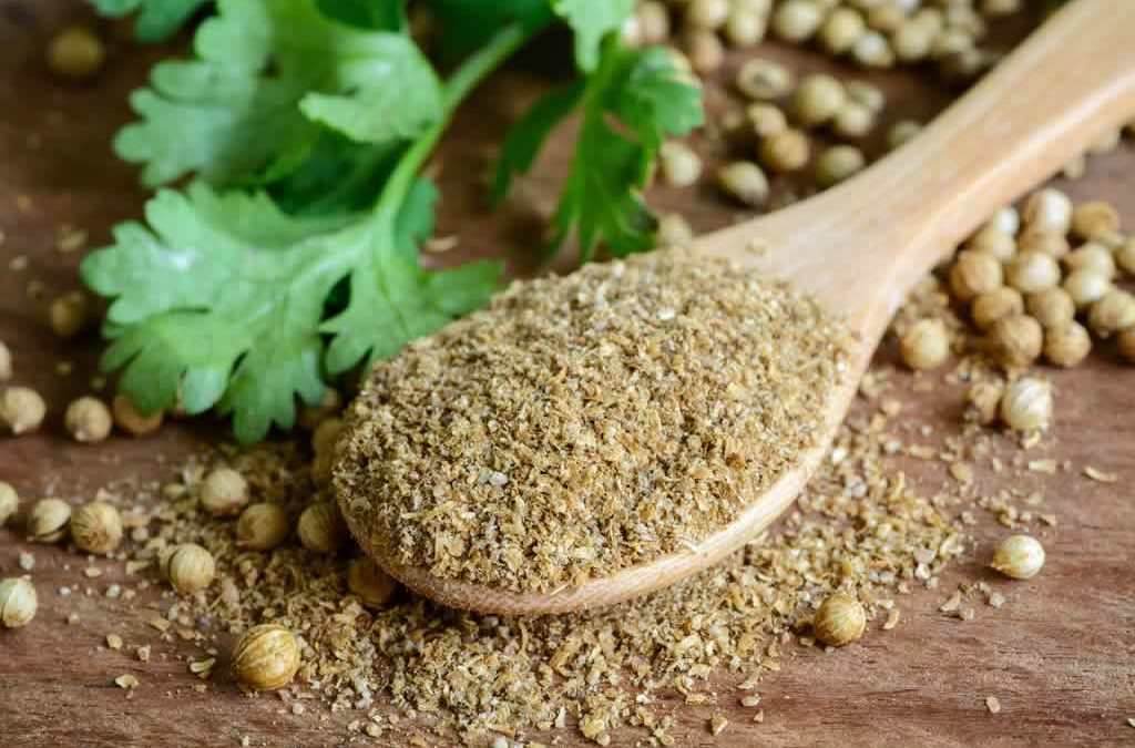 Coriander Powder